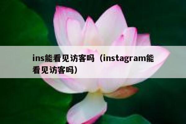 ins能看见访客吗（instagram能看见访客吗） 第1张