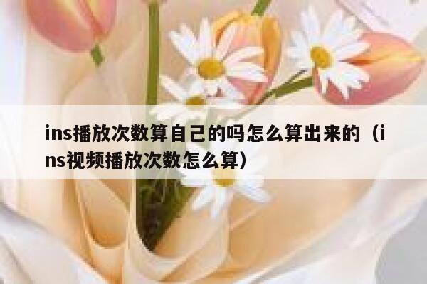ins播放次数算自己的吗怎么算出来的（ins视频播放次数怎么算） 第1张