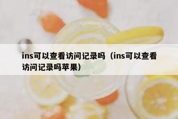 ins可以查看访问记录吗（ins可以查看访问记录吗苹果） 第1张