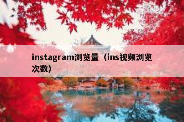 instagram浏览量(ins视频浏览次数) 第1张 instagram浏览量(ins视频浏览次数) 第1张
