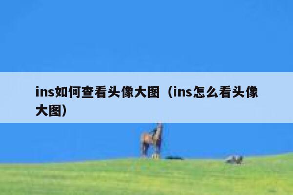 ins如何查看头像大图(ins怎么看头像大图) 第1张 ins如何查看头像大图(ins怎么看头像大图) 第1张