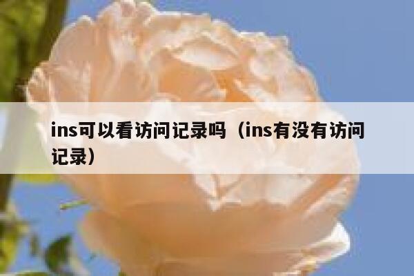 ins可以看访问记录吗(ins有没有访问记录) 第1张 ins可以看访问记录吗(ins有没有访问记录) 第1张