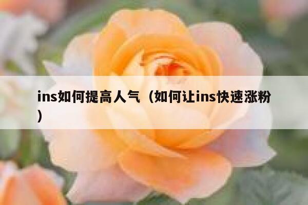ins如何提高人气（如何让ins快速涨粉） 第1张
