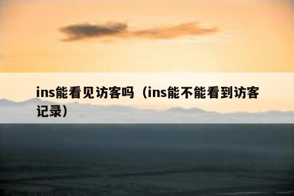 ins能看见访客吗（ins能不能看到访客记录） 第1张