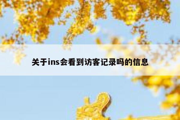 关于ins会看到访客记录吗的信息 第1张 关于ins会看到访客记录吗的信息 第1张