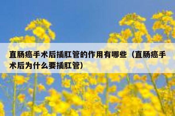 直肠癌手术后插肛管的作用有哪些（直肠癌手术后为什么要插肛管） 第1张