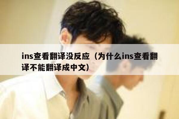 ins查看翻译没反应（为什么ins查看翻译不能翻译成中文） 第1张