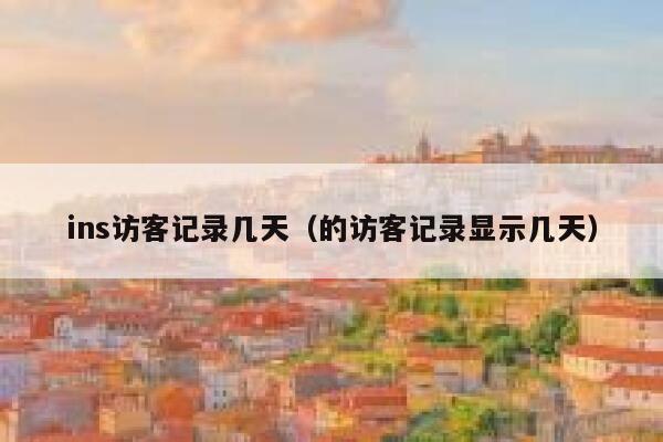 ins访客记录几天（的访客记录显示几天） 第1张