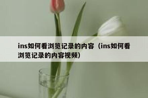 ins如何看浏览记录的内容（ins如何看浏览记录的内容视频） 第1张