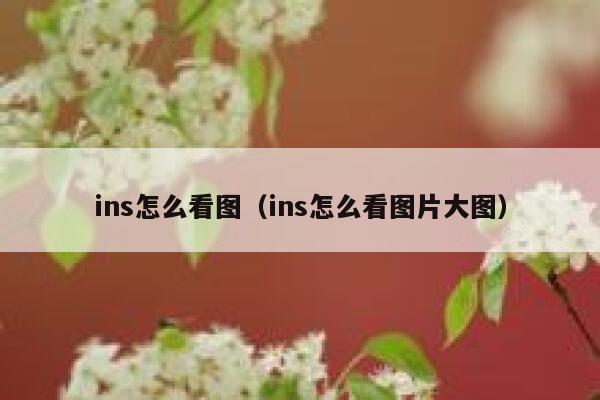 ins怎么看图(ins怎么看图片大图) 第1张 ins怎么看图(ins怎么看图片大图) 第1张