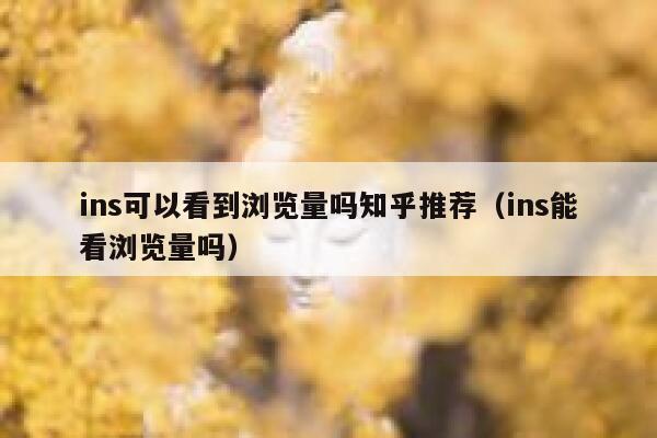 ins可以看到浏览量吗知乎推荐（ins能看浏览量吗） 第1张