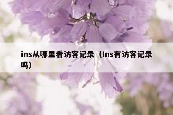 ins从哪里看访客记录(Ins有访客记录吗) 第1张 ins从哪里看访客记录(Ins有访客记录吗) 第1张