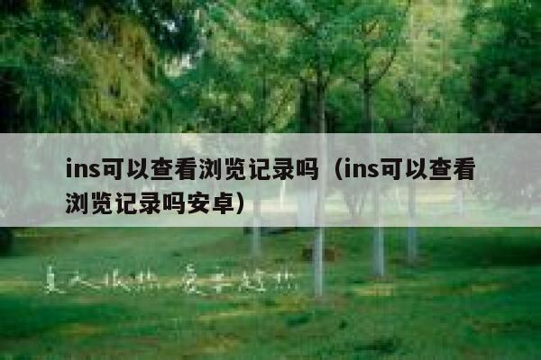 ins可以查看浏览记录吗(ins可以查看浏览记录吗安卓) 第1张 ins可以查看浏览记录吗(ins可以查看浏览记录吗安卓) 第1张