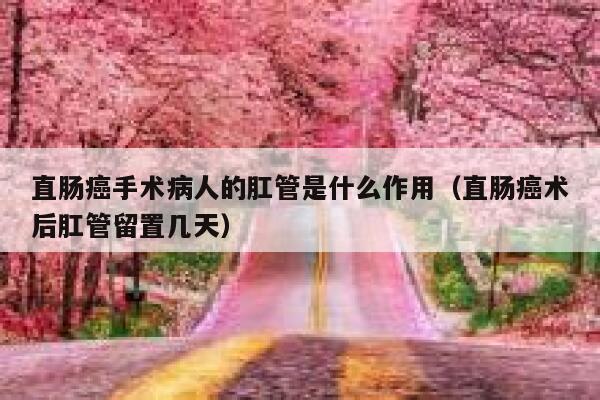 直肠癌手术病人的肛管是什么作用（直肠癌术后肛管留置几天） 第1张