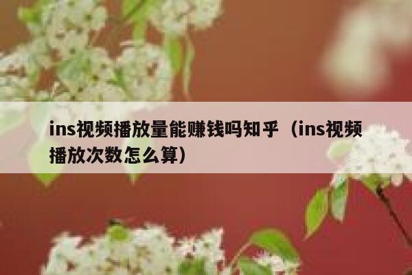 ins视频播放量能赚钱吗知乎(ins视频播放次数怎么算) 第1张 ins视频播放量能赚钱吗知乎(ins视频播放次数怎么算) 第1张