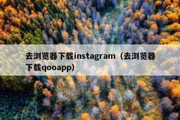 去浏览器下载instagram（去浏览器下载qooapp） 第1张