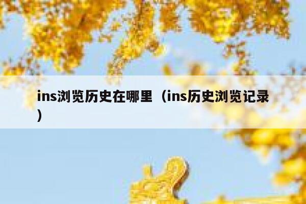 ins浏览历史在哪里(ins历史浏览记录) 第1张 ins浏览历史在哪里(ins历史浏览记录) 第1张