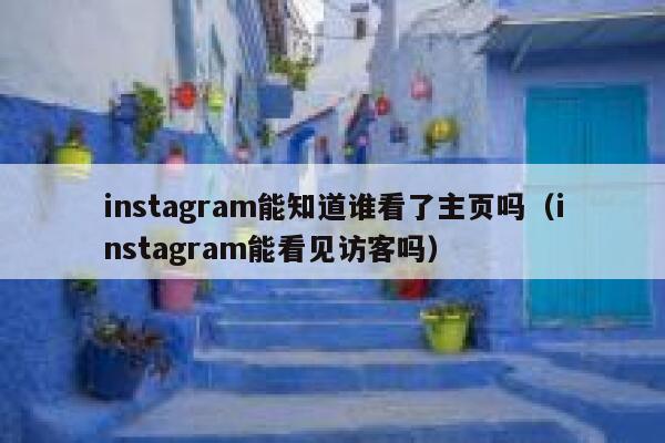 instagram能知道谁看了主页吗(instagram能看见访客吗) 第1张 instagram能知道谁看了主页吗(instagram能看见访客吗) 第1张