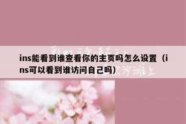 ins能看到谁查看你的主页吗怎么设置（ins可以看到谁访问自己吗） 第1张