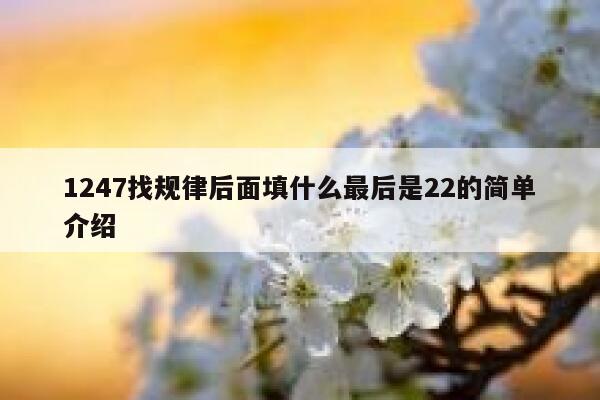 1247找规律后面填什么最后是22的简单介绍 第1张 1247找规律后面填什么最后是22的简单介绍 第1张
