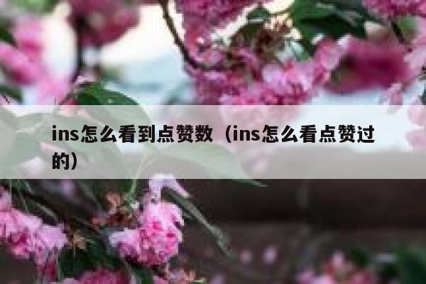 ins怎么看到点赞数（ins怎么看点赞过的） 第1张