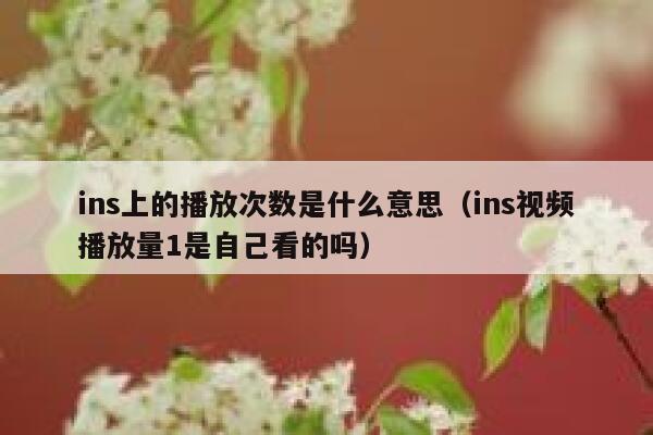 ins上的播放次数是什么意思（ins视频播放量1是自己看的吗） 第1张