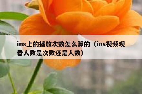 ins上的播放次数怎么算的(ins视频观看人数是次数还是人数) 第1张 ins上的播放次数怎么算的(ins视频观看人数是次数还是人数) 第1张
