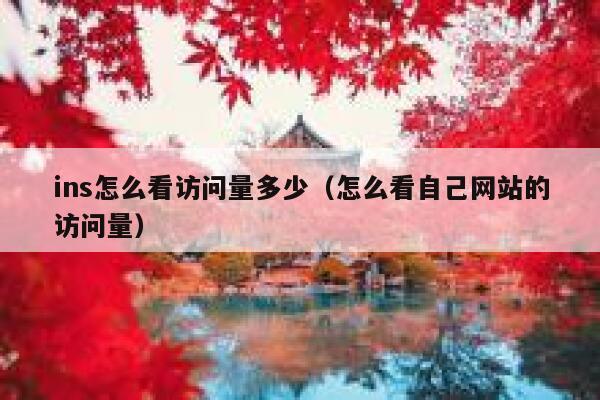 ins怎么看访问量多少(怎么看自己网站的访问量) 第1张 ins怎么看访问量多少(怎么看自己网站的访问量) 第1张