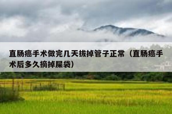直肠癌手术做完几天拔掉管子正常（直肠癌手术后多久摘掉屎袋） 第1张