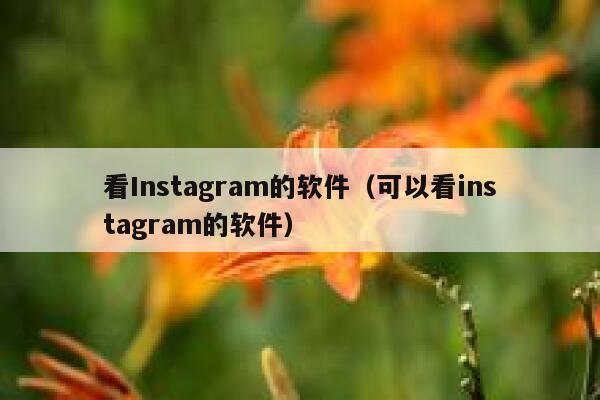 看Instagram的软件（可以看instagram的软件） 第1张