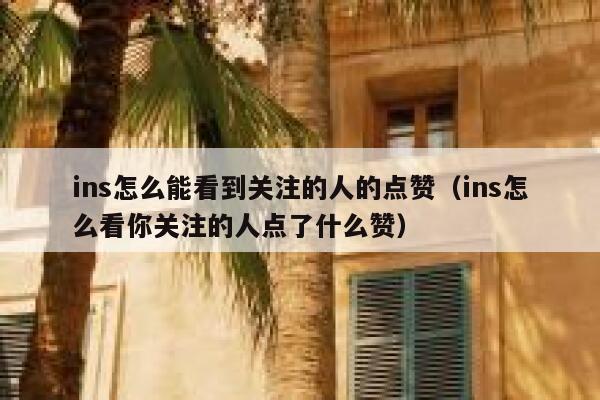 ins怎么能看到关注的人的点赞（ins怎么看你关注的人点了什么赞） 第1张
