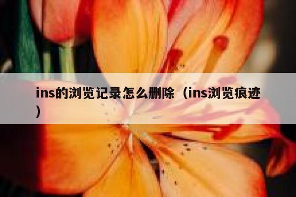 ins的浏览记录怎么删除（ins浏览痕迹） 第1张