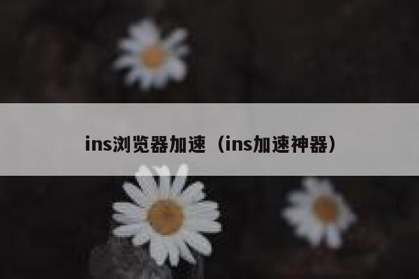 ins浏览器加速(ins加速神器) 第1张 ins浏览器加速(ins加速神器) 第1张