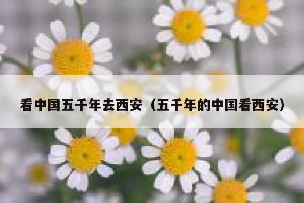 看中国五千年去西安(五千年的中国看西安) 第1张 看中国五千年去西安(五千年的中国看西安) 第1张