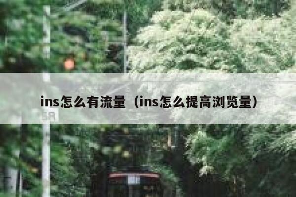 ins怎么有流量(ins怎么提高浏览量) 第1张 ins怎么有流量(ins怎么提高浏览量) 第1张
