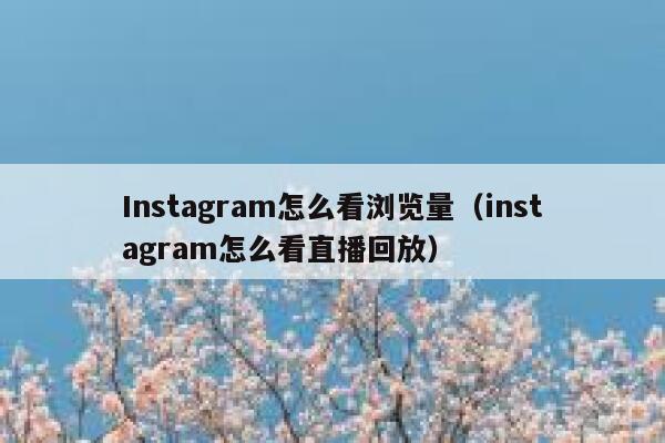 Instagram怎么看浏览量（instagram怎么看直播回放） 第1张