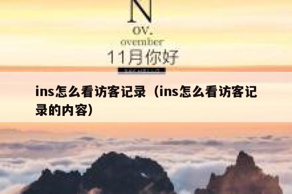ins怎么看访客记录(ins怎么看访客记录的内容) 第1张 ins怎么看访客记录(ins怎么看访客记录的内容) 第1张