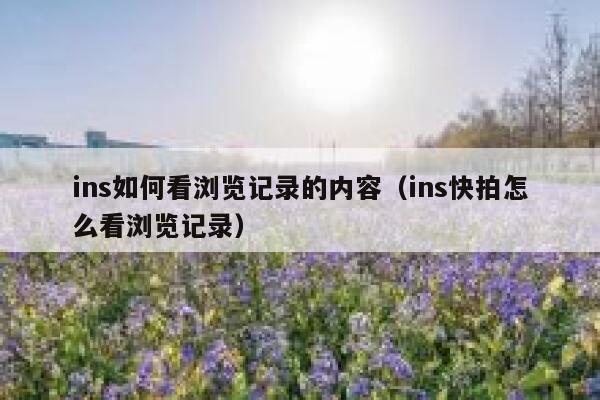 ins如何看浏览记录的内容（ins快拍怎么看浏览记录） 第1张