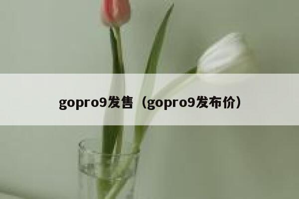 gopro9发售(gopro9发布价) 第1张 gopro9发售(gopro9发布价) 第1张