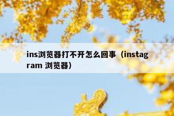 ins浏览器打不开怎么回事（instagram 浏览器） 第1张
