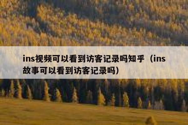 ins视频可以看到访客记录吗知乎（ins故事可以看到访客记录吗） 第1张
