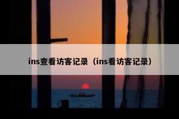 ins查看访客记录（ins看访客记录） 第1张