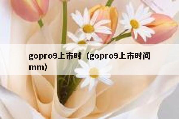 gopro9上市时(gopro9上市时间mm) 第1张 gopro9上市时(gopro9上市时间mm) 第1张