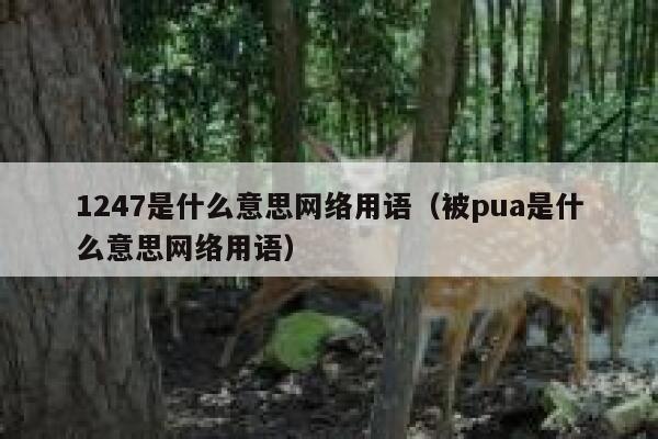 1247是什么意思网络用语(被pua是什么意思网络用语) 第1张 1247是什么意思网络用语(被pua是什么意思网络用语) 第1张