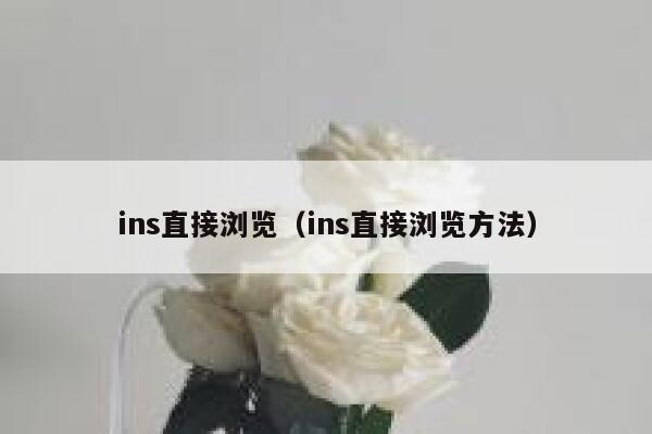 ins直接浏览（ins直接浏览方法） 第1张