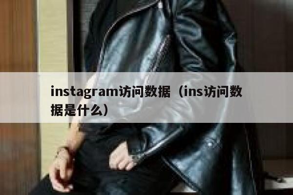instagram访问数据（ins访问数据是什么） 第1张