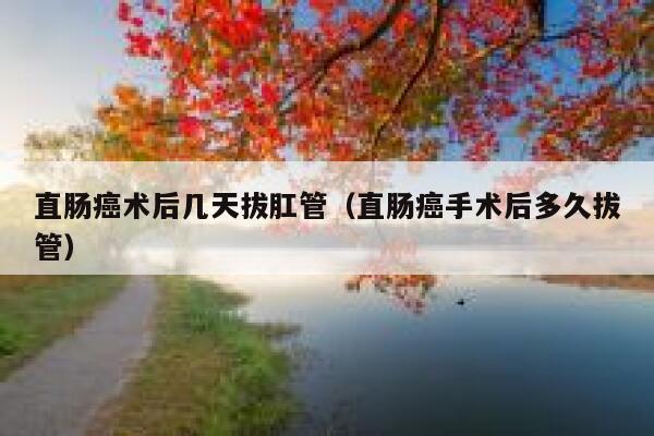 直肠癌术后几天拔肛管(直肠癌手术后多久拔管) 第1张 直肠癌术后几天拔肛管(直肠癌手术后多久拔管) 第1张