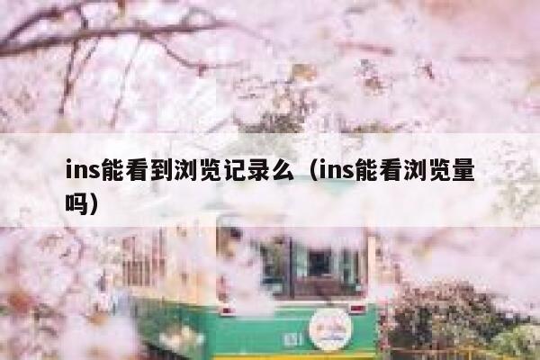 ins能看到浏览记录么(ins能看浏览量吗) 第1张 ins能看到浏览记录么(ins能看浏览量吗) 第1张