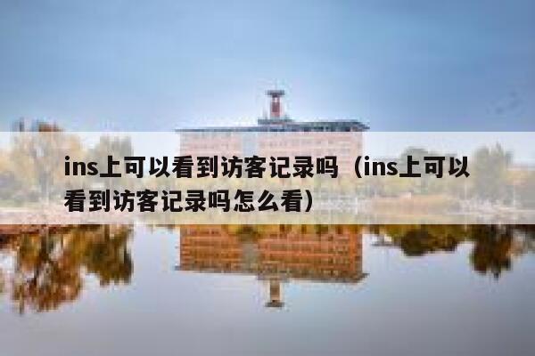 ins上可以看到访客记录吗（ins上可以看到访客记录吗怎么看） 第1张