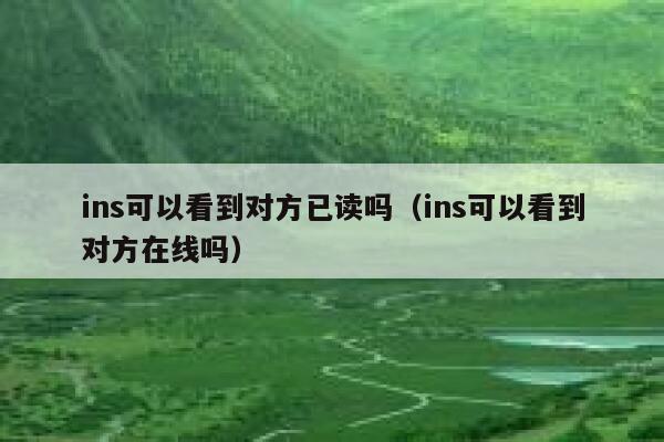 ins可以看到对方已读吗（ins可以看到对方在线吗） 第1张